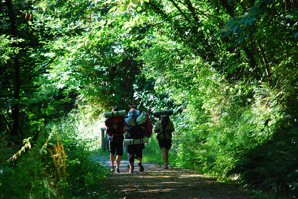 Importantes mejoras en la asturiana Vía Verde de la Senda del Oso